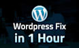 solve wordpress and woocommerce errors, bugs and technical issues