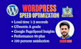 do wordpress speed optimization, website speed, pagespeed, google page speed
