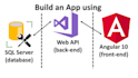 develop website with dot net and angular