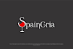 design creative and professional wordmark logo
