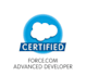 do all salesforce configuration and development