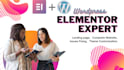 create, design and fix elementor wordpress website with elementor pro