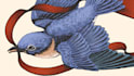 create illustration in line art or engraving style