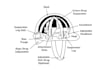 do product visuals design, diagrams, and technical illustrations