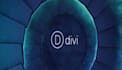 install divitheme, ultimate membership pro, divi builder and many more