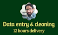 do data entry, web search, scrapping and typing