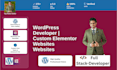 build a custom wordpress website with elementor pro