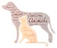 create professional and personal word cloud art