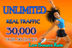 real organic targeted web traffic