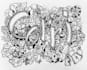 doodle everything you want
