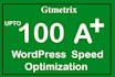 do wp speed up optimization in google insights and others