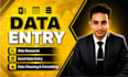 do accurate data entry, excel, web research, copy paste and data cleaning