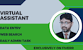 virtual assistant for data entry and web search