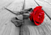 make a black white photo with one object in color