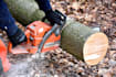 write content on woodworking niche