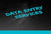 do data entry, data mining, and offline data entry service