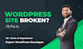 fix wordpress issues, bug fix, error, and do wordpress help