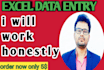 do excel data entry, typing, copy paste, data entry