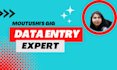 do accurate data entry, PDF to word excel CSV conversion