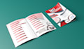 design fantastic flyers and brochures with shipping
