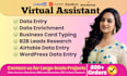 be your virtual assistant for data entry, data mining, copy paste, web research