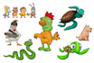 create a custom illustrations and clip art