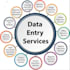provide you data entry services as a virtual assistant