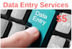 do 2 hours of data entry services