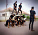 do an exceptional afro dance for your music