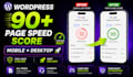 do wordpress speed optimization for google pagespeed insight