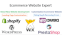 fix your shopify  ecommerce website and do shopify bug fixing