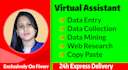 be your virtual assistant for data entry, typing, copy paste and web research
