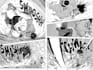 draw manga, comic, anime page or webtoon for your story