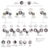 make your family tree