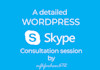 provide 30 mins skype wordpress consultation