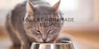 send the 100 cat recipes to pamper your cat