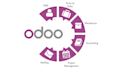 do odoo functional training