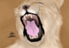 draw any animal you request