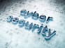 handle cyber security tasks and IT related tasks