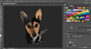 convert your pictures into illustration