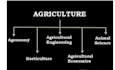 do the agriculture related task, projects, problems and plans professionally