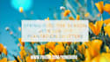 create professional and optimized facebook cover video