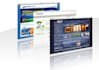 comb and review your website for bugs and issues