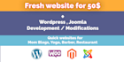 do joomla or wordpress modifications and customizations