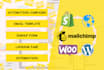 completely setup mailchimp automation email campaign