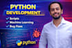 fix python bugs, debug scripts and develop custom solutions