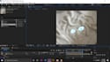 do anything in adobe after effects or animate cc