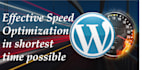speed up your site, optimize page loading time