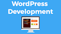 develop or customize wordpress theme or plugin