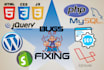 fix wordpress, PHP errors, laravel, mysql, HTML, CSS, js bugs